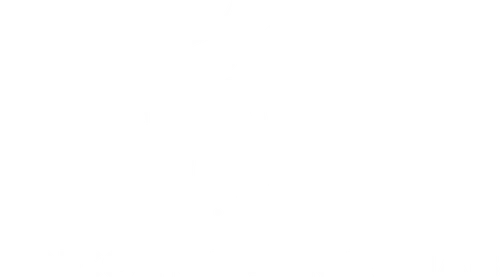Lincoln Park Rehab
